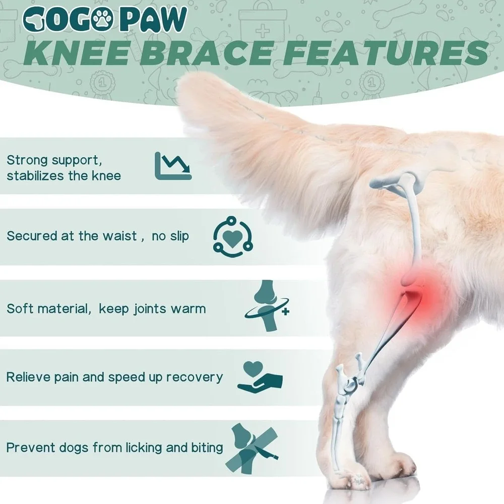 Small Dog Leg Brace Right Hind ACL‎ Support w/ 2 Metal Stabilizers